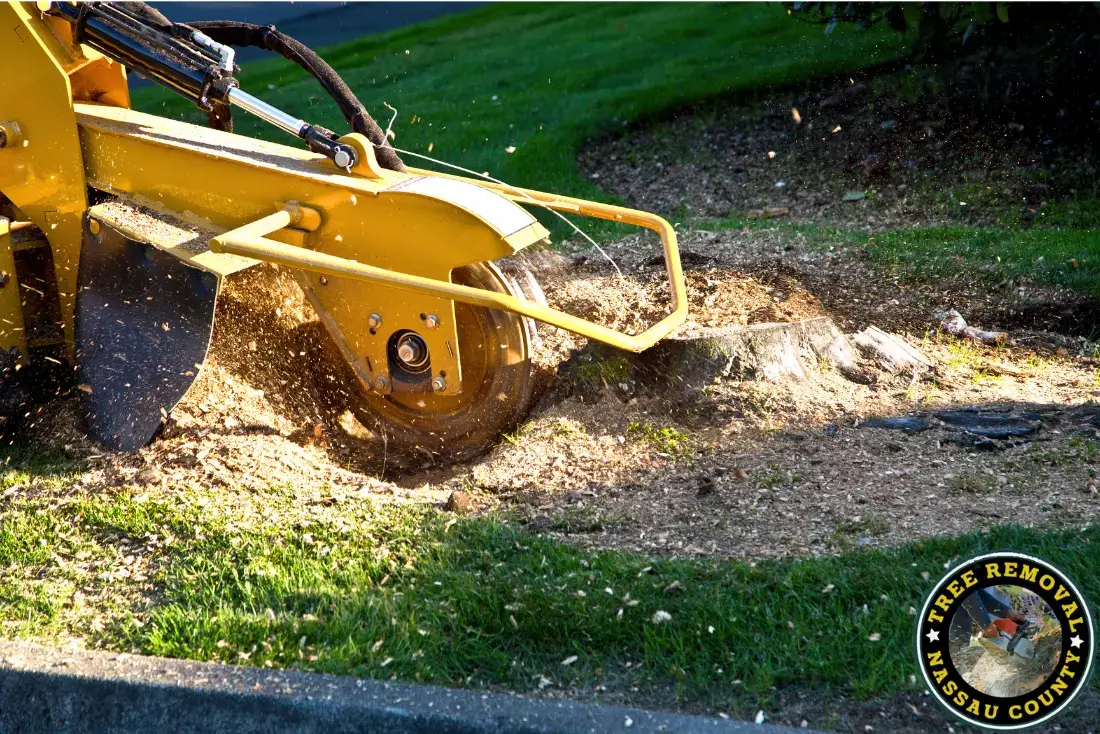 tree removal and stump grinding
