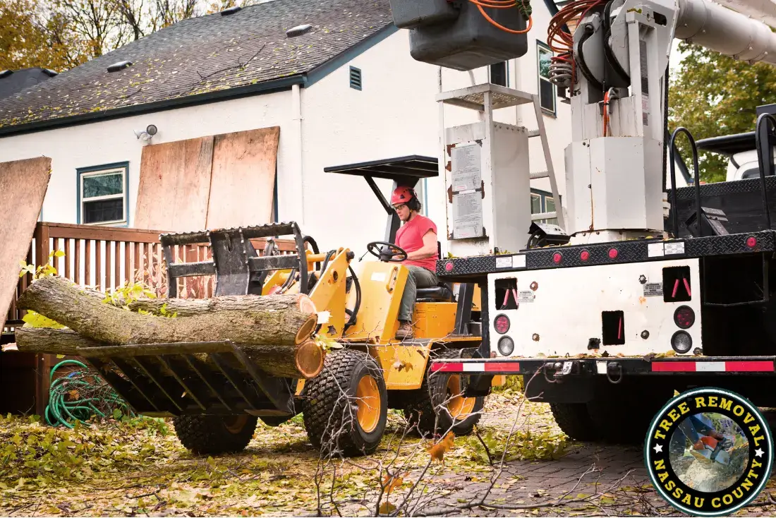 Emergency Tree Removal Service