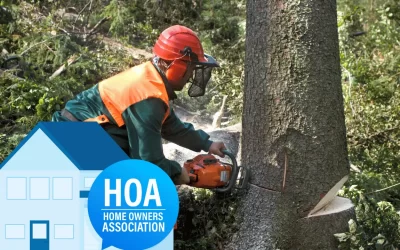 Do I Need HOA Approval to Remove a Tree? Find Out Now!