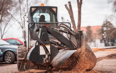 Tree Stump Removal Machine: Eradicate Stumps Fast!