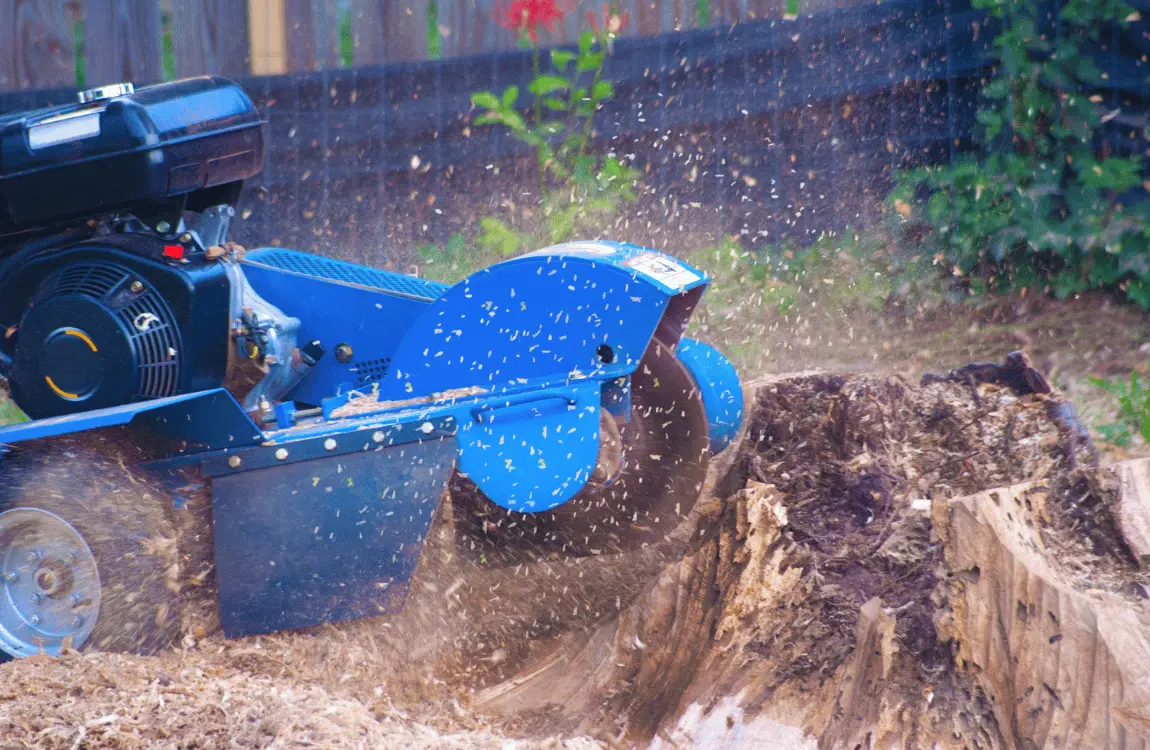 Tree Removal and Stump Grinding Equipment